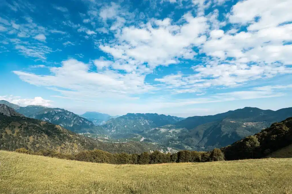 panorama 1